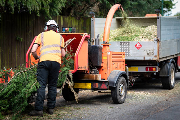 Best Tree Preservation Services  in Geronimo, OK