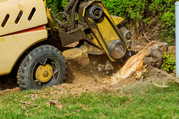 Best Lawn Grading and Leveling  in Geronimo, OK